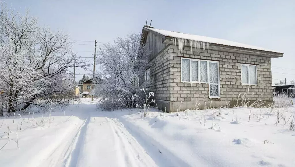 Дом в Сахалинская область, Анивский городской округ, с. Мицулевка ул. ... - Фото 1
