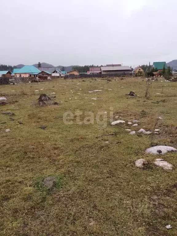 Участок в Алтай, Турочакский район, с. Турочак ул. Вялкова (10.0 сот.) - Фото 1