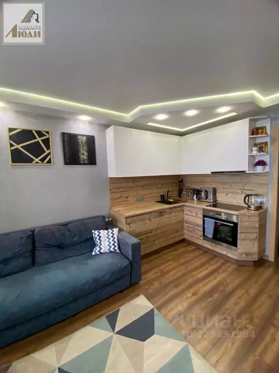 1-к кв. Новосибирская область, Новосибирск ул. Титова, 242/2 (37.0 м) - Фото 1