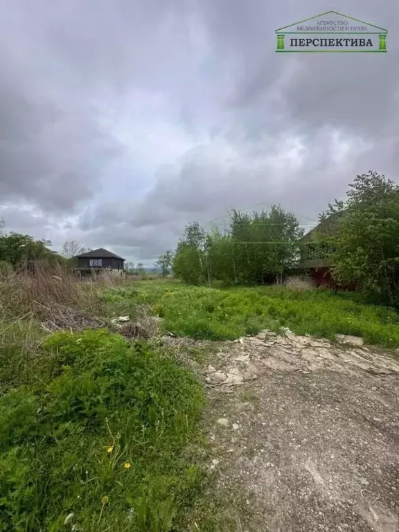 Участок в Приморский край, Артемовский городской округ, с. Кневичи ... - Фото 1