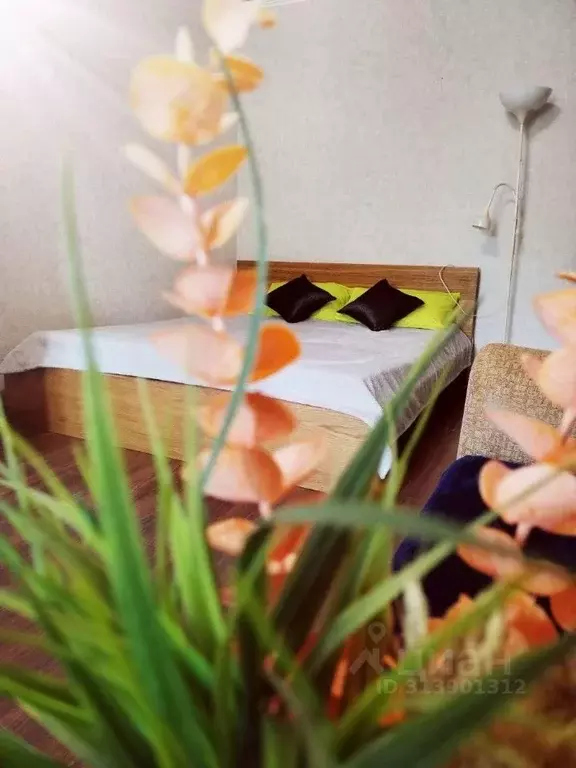 1-к кв. Краснодарский край, Крымск ул. Маршала Гречко, 78 (33.0 м) - Фото 1