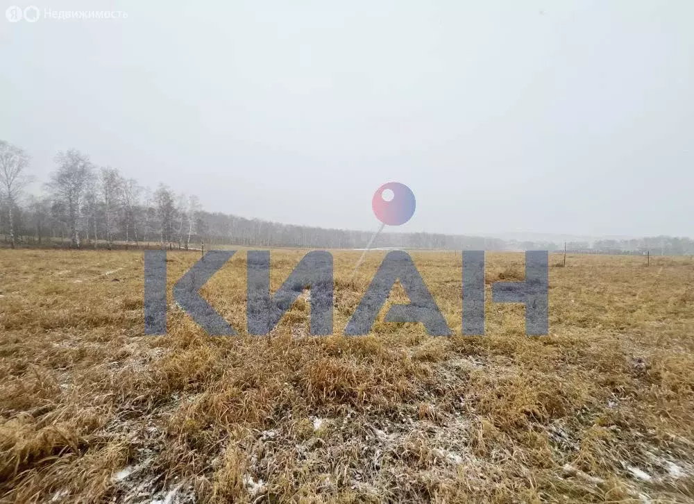 Участок в Красноярский край, Емельяновский муниципальный округ, СНТ ... - Фото 2