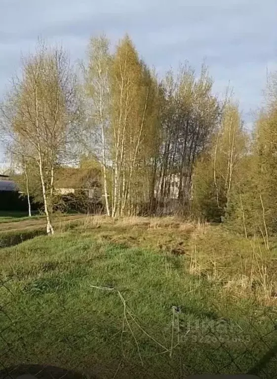 Участок в Владимирская область, Киржачский муниципальный округ, д. ... - Фото 1