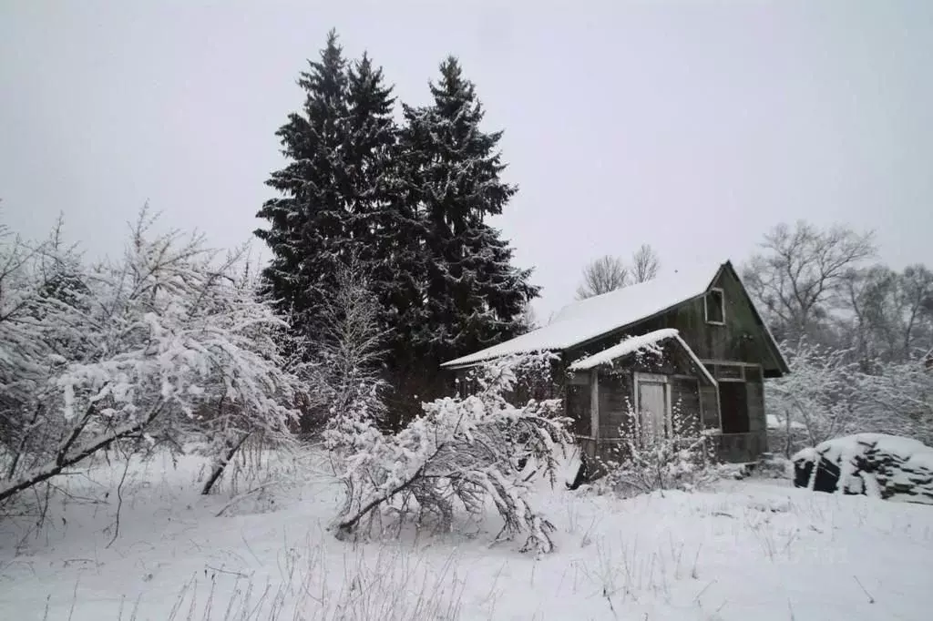 Участок в Москва Брехово хут., Мирный СНТ,  (8.2 сот.) - Фото 1