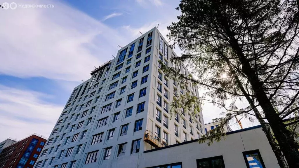 Помещение свободного назначения (52.6 м) - Фото 2