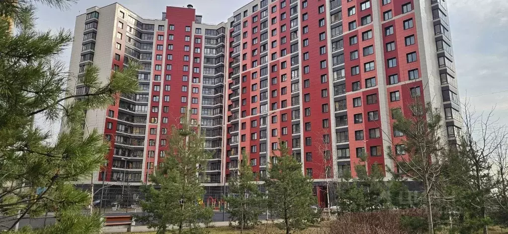 Студия Ленинградская область, Мурино Всеволожский район, просп. ... - Фото 2