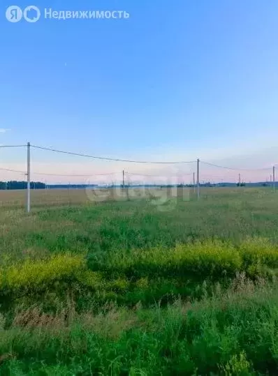 Участок в Тюменская область, Ишимский муниципальный округ, село ... - Фото 2
