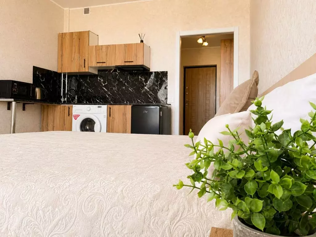 Студия Севастополь ш. Фиолентовское, 134к6 (27.5 м) - Фото 1