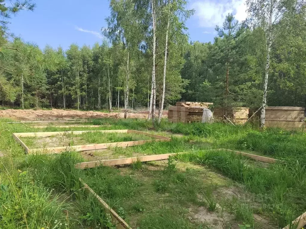 Участок в Владимирская область, Ковровский район, Доброград ... - Фото 1