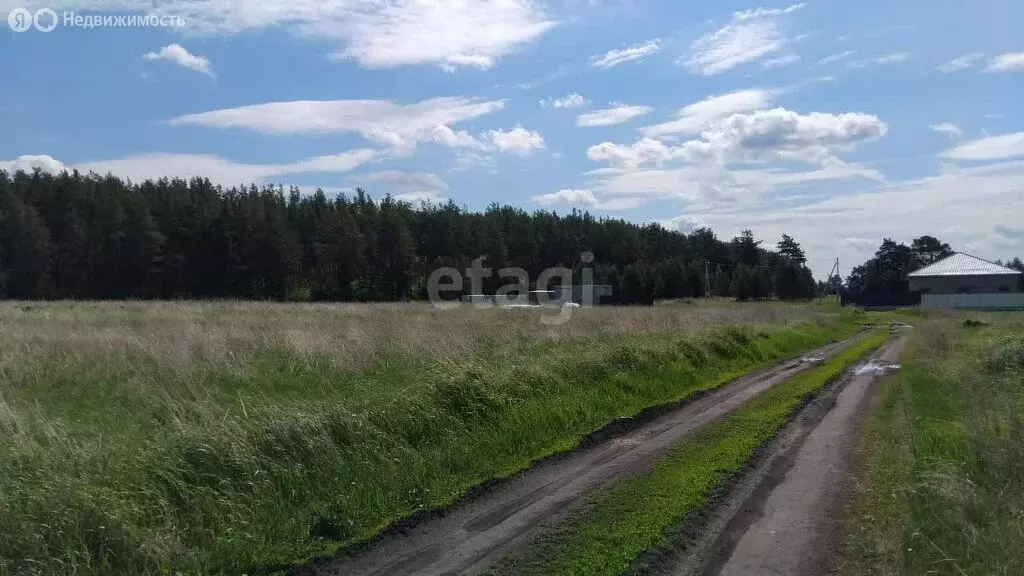 Участок в Свердловская область, муниципальный округ Сухой Лог, село ... - Фото 0