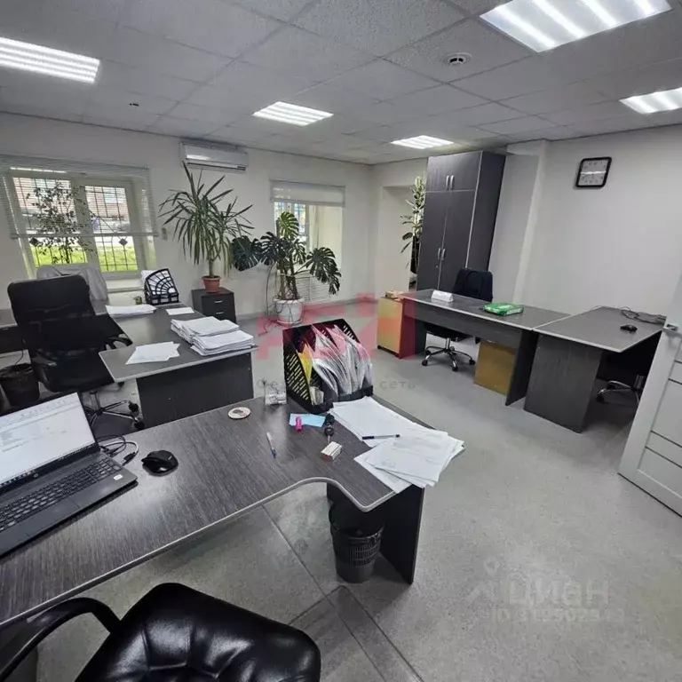 Офис в Курганская область, Курган ул. Красина, 49 (160 м) - Фото 2