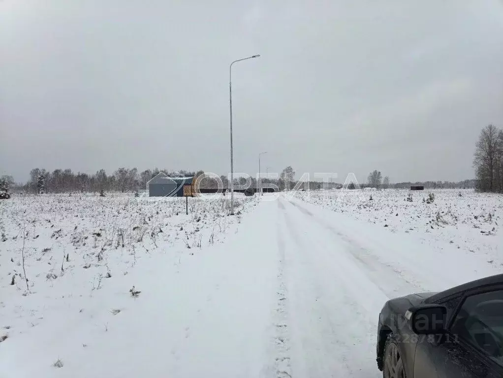 Участок в Тюменская область, Тюмень Центральная пл. (310.0 сот.) - Фото 2