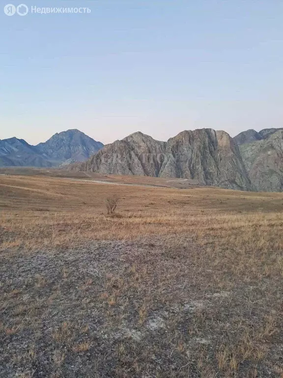 Участок в Онгудайский район, село Инегень (2 м) - Фото 2