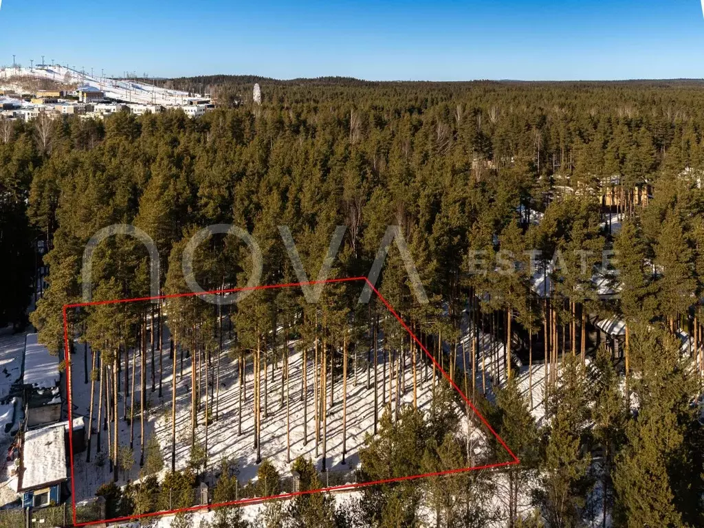 Участок в Ленинградская область, Всеволожский район, Бугровское ... - Фото 2