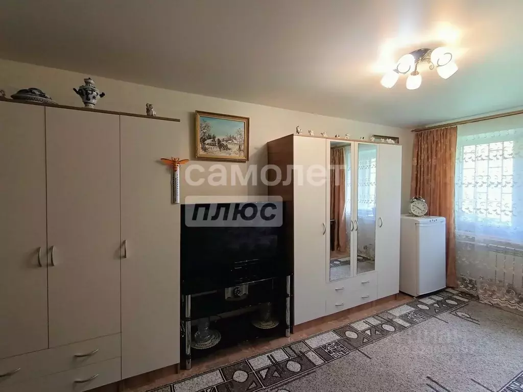 1-к кв. Московская область, Ногинск Богородский городской округ, ул. ... - Фото 1