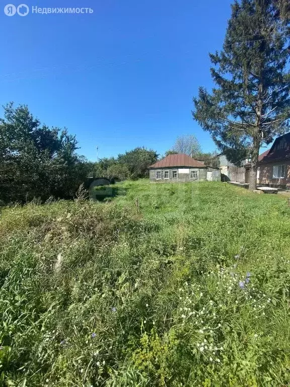 Участок в Брянская область, Выгоничское городское поселение, село ... - Фото 0