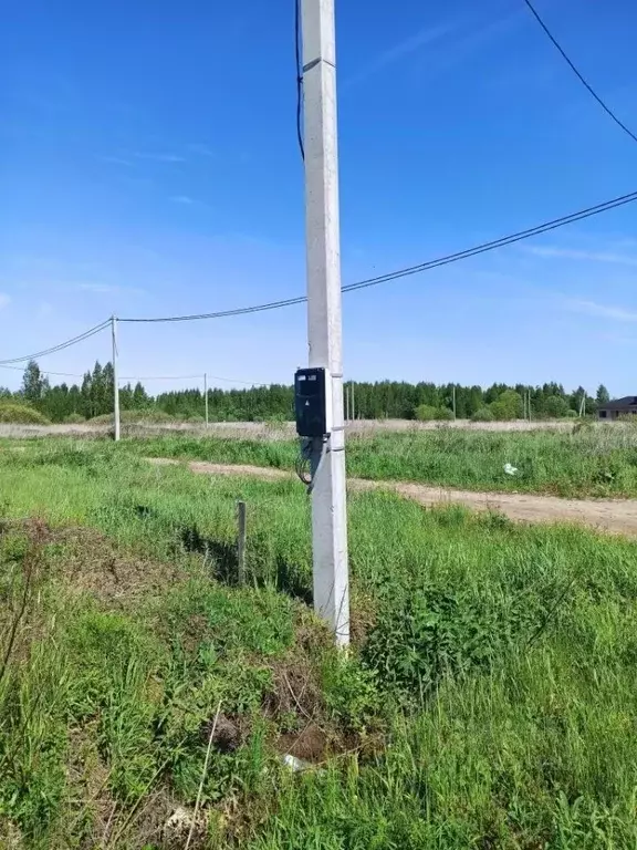 Участок в Костромская область, Кострома Первый кп, проезд Павинский ... - Фото 2