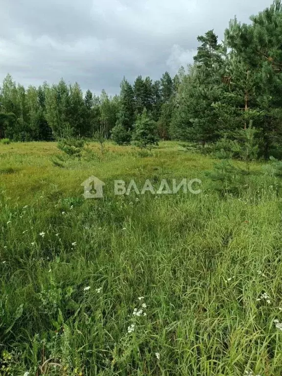 Участок в Владимирская область, Судогодский район, Муромцевское ... - Фото 0