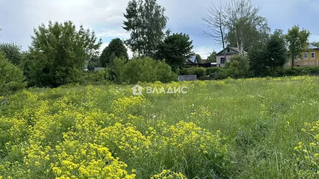 Участок в Нижегородская область, Ворсма Павловский район, Лесной пер. ... - Фото 1