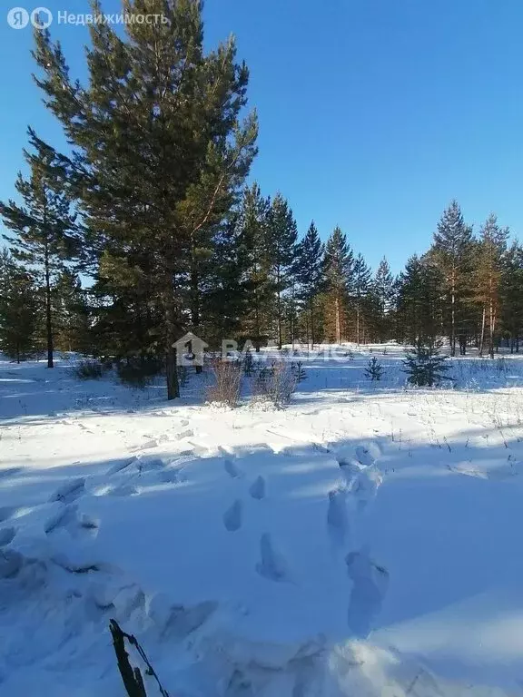 Участок в Тарбагатайский район, сельское поселение Заводское, СТ ... - Фото 2