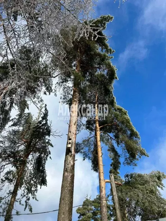 2-к кв. Ленинградская область, Приозерский район, Ромашкинское с/пос, ... - Фото 1