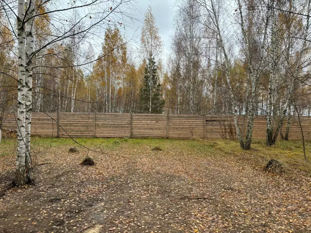 Дом в Воронежская область, Новоусманский район, с. Бабяково ул. ... - Фото 1