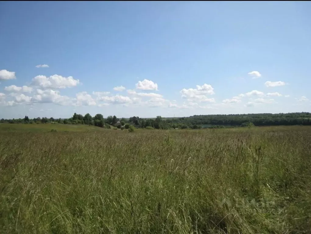 Участок в Ростовская область, Родионово-Несветайский район, ... - Фото 0