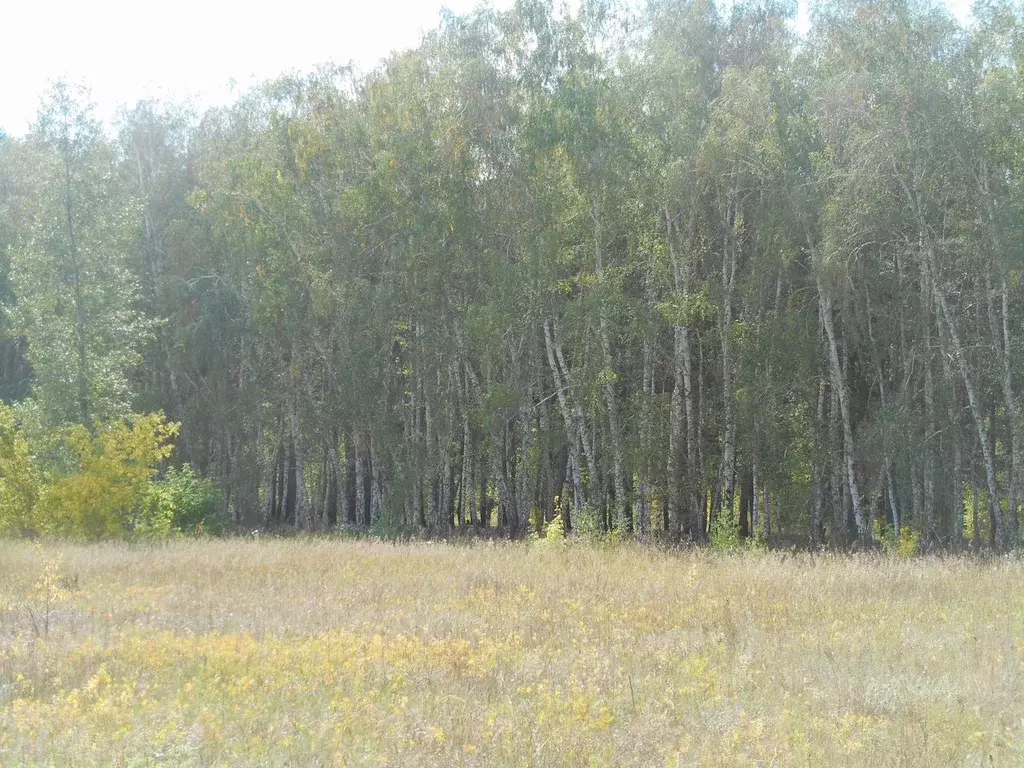 Участок в Омская область, Омский район, с. Усть-Заостровка ул. 1-я ... - Фото 0