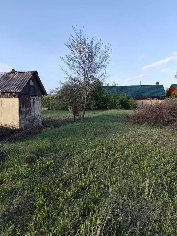 Участок в Белгородская область, Белгородский муниципальный округ, с. ... - Фото 1