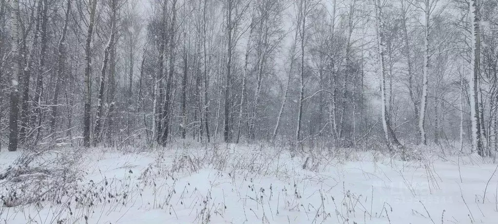 Участок в Московская область, Солнечногорск городской округ, д. ... - Фото 0