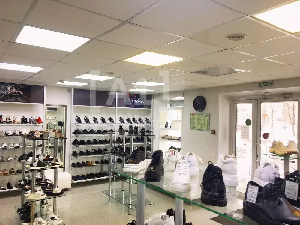 Помещение свободного назначения в Челябинская область, Челябинск ул. ... - Фото 1