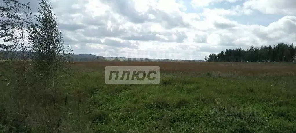 Участок в Новосибирская область, Тогучин  (1230.0 сот.) - Фото 1
