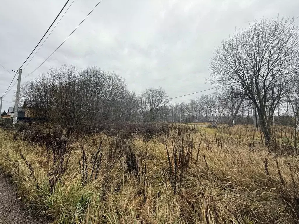 Участок в Московская область, Чехов муниципальный округ, д. Васькино  ... - Фото 2