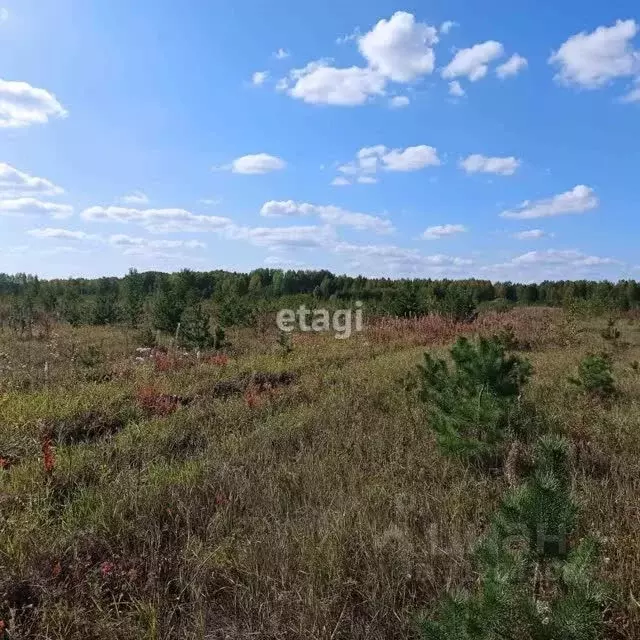 Участок в Тюменская область, Тюменский район, с. Кулига, Альпийская ... - Фото 0