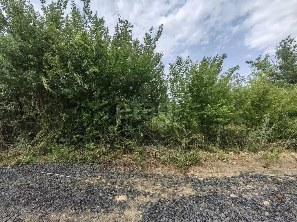 Участок в Ростовская область, Родионово-Несветайский район, ... - Фото 1