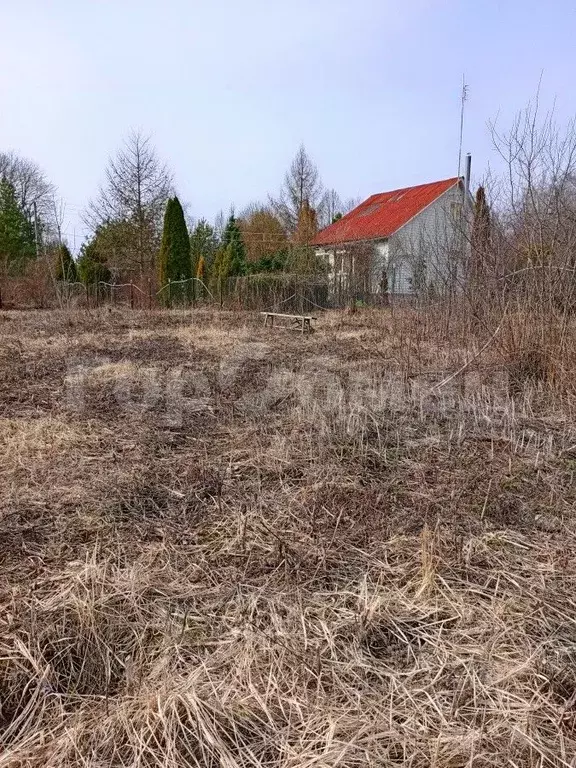 Участок в Московская область, Чехов муниципальный округ, д. Баранцево ... - Фото 0