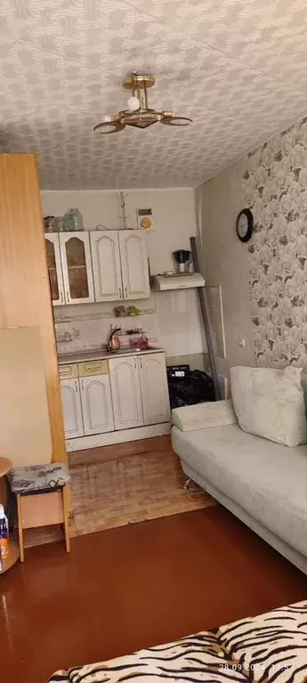 Комната Новосибирская область, Бердск Боровая ул., 102 - Фото 0