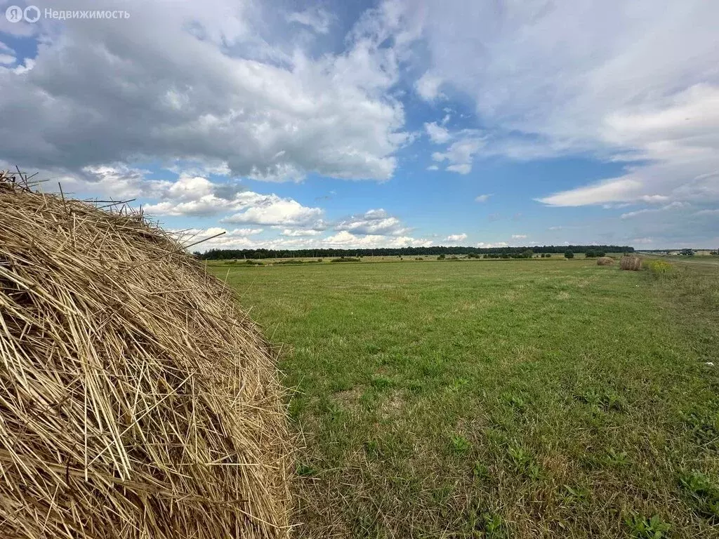 Участок в Тула, Привокзальный территориальный округ (10 м) - Фото 1