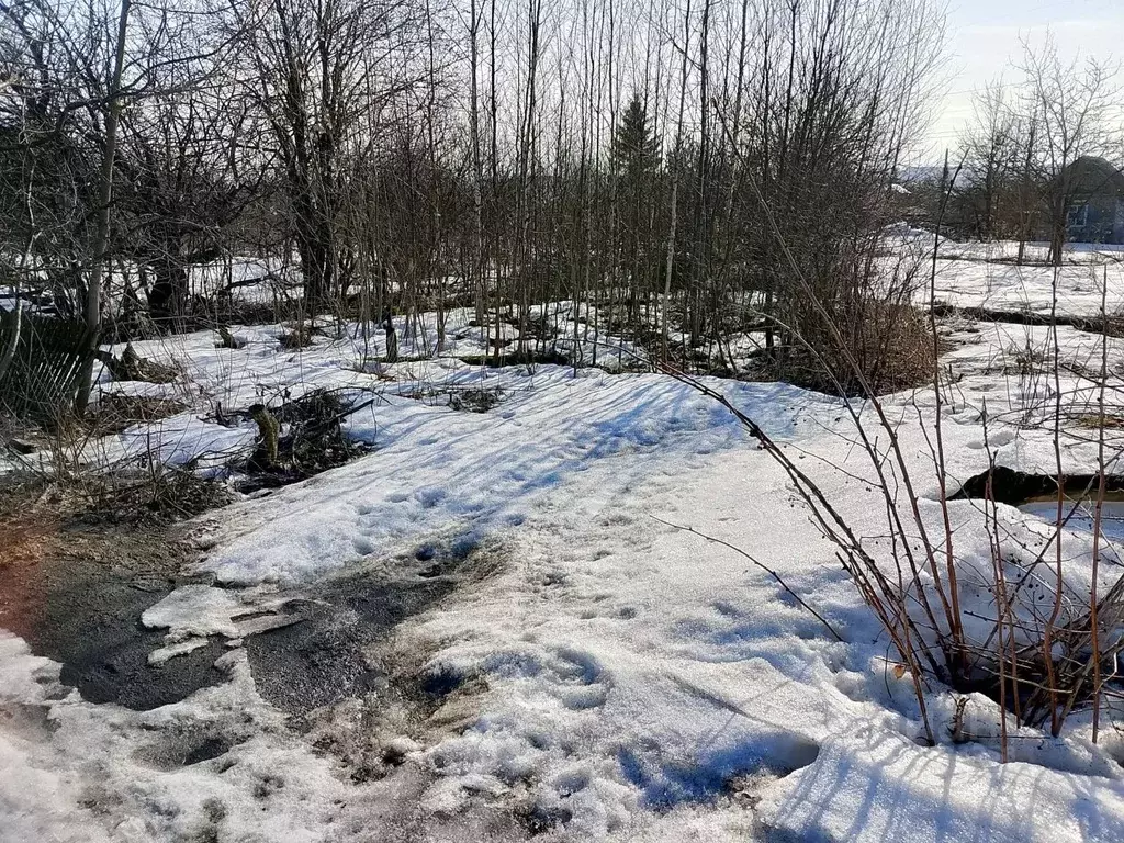 Участок в Вологодская область, Череповец № 1 Металлург СНТ, 1032 ... - Фото 2