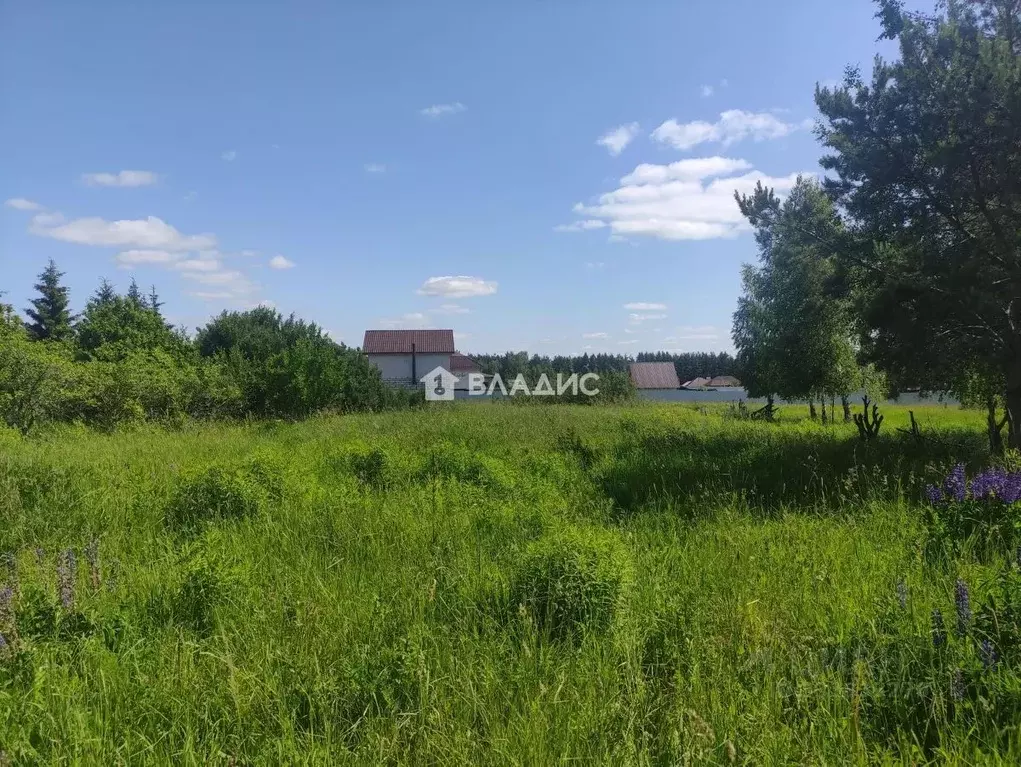 Участок в Нижегородская область, Богородский муниципальный округ, с. ... - Фото 2
