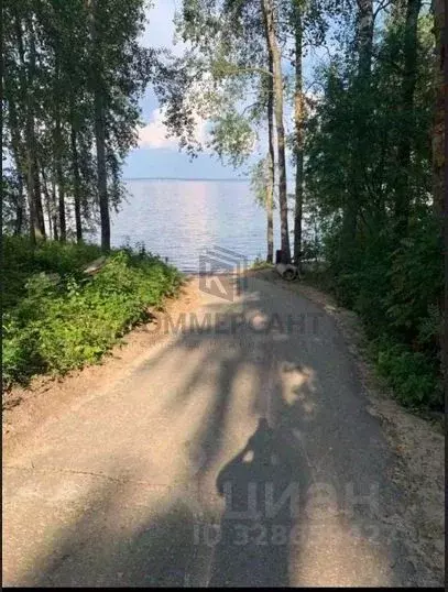 Участок в Нижегородская область, Чкаловск муниципальный округ, д. ... - Фото 1