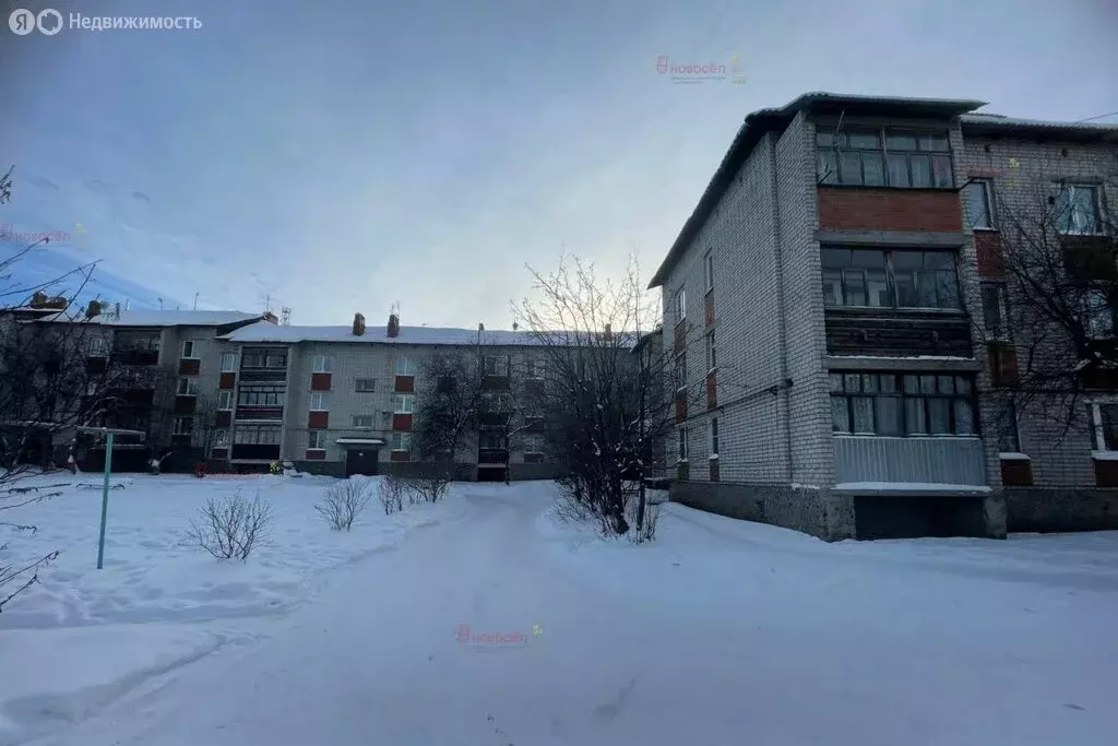 3-комнатная квартира: село Патруши, Тепличная улица, 1 (63 м) - Фото 2