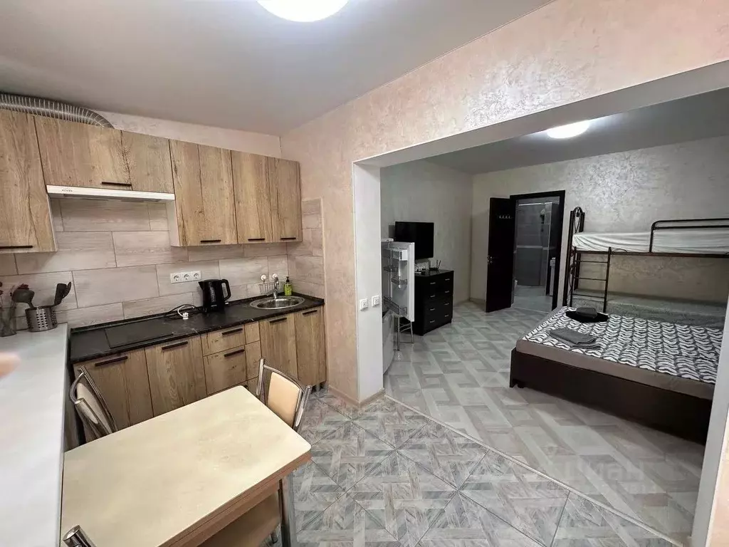 Студия Севастополь с. Орловка, ш. Качинское, 33-Б (28.0 м) - Фото 1
