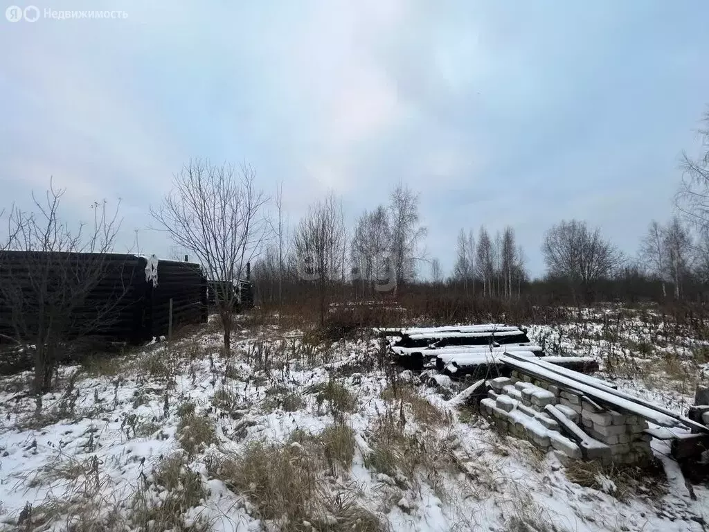 Участок в Костромской район, Шунгенское сельское поселение, деревня ... - Фото 1