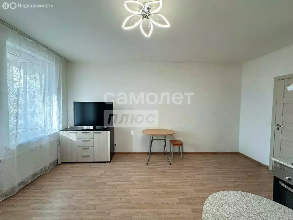 Квартира-студия: Санкт-Петербург, проспект Ветеранов, 171к1 (24 м) - Фото 1