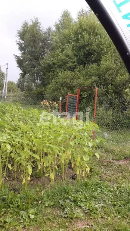 Участок в Калужская область, с. Барятино  (20.0 сот.) - Фото 1