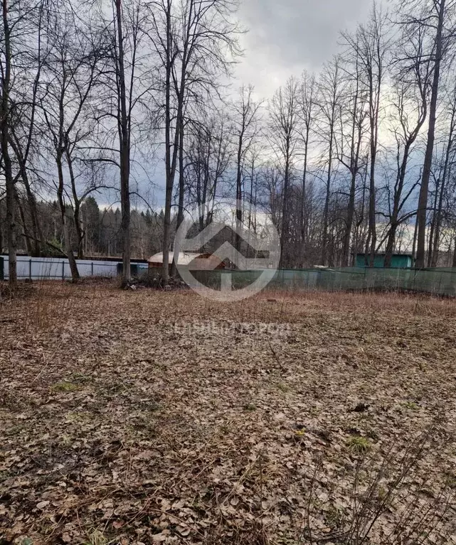 Участок в Московская область, Солнечногорск городской округ, д. ... - Фото 1