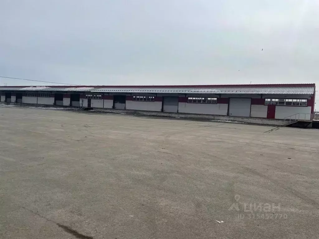 Помещение свободного назначения в Удмуртия, Ижевск ул. Пойма, 19Б ... - Фото 1