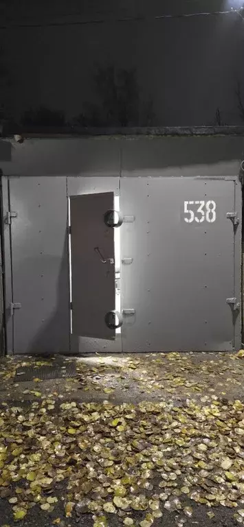 Гараж в Санкт-Петербург Бестужевская ул., 6 (18 м) - Фото 1