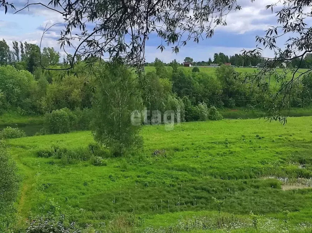 Участок в Ярославская область, Переславль-Залесский городской округ, ... - Фото 1